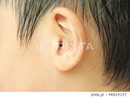 東洋人 アジア人 子供 46634147