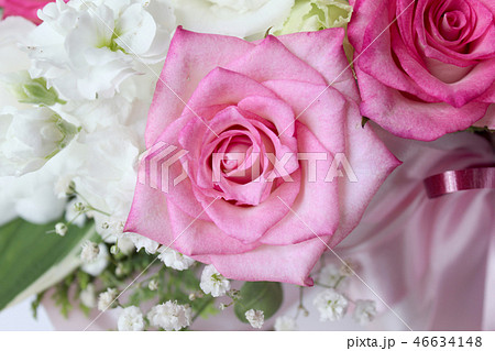 バラ バラの花 花 46634148