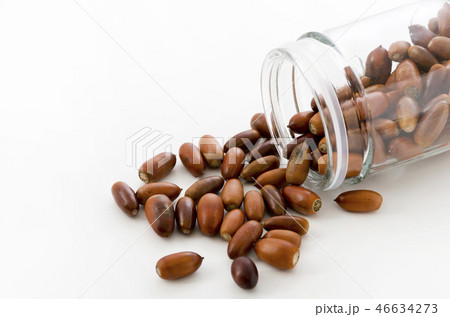 どんぐり 46634273