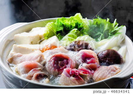 鍋料理　水炊き 46634341
