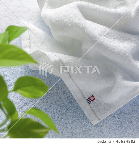 今治タオル 今治タオル 46634882