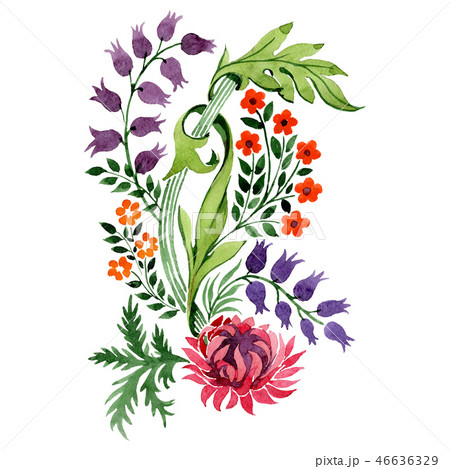 Red and purple floral botanical flowers. Watercolor background illustration set. Isolated ornament Red and purple floral botanical flowers. Watercolor background illustration set. Isolated ornament 46636329