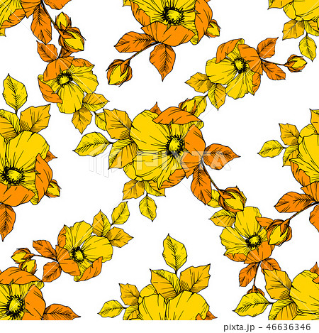 Vector Orange rosa canina flower. Engraved ink art. Seamless background pattern. Fabric wallpaper 46636346