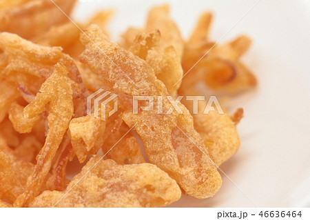 庶民的で素朴な酒の肴「烏賊フライ」 46636464