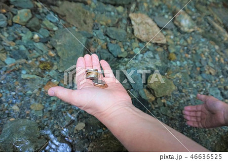 銭洗い　金運　和同開珎　和銅採掘露天掘跡　埼玉　秩父　黒谷　聖神社 46636525