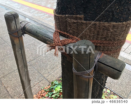 二脚鳥居支柱 二脚鳥居支柱 46636540