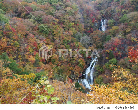 霧降の滝 霧降の滝 46636764