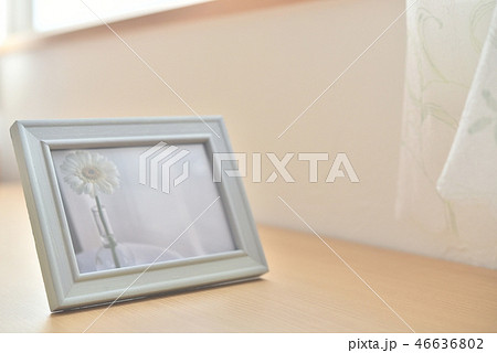 フォトスタンド 窓からの日ざし フォトスタンド 窓からの日ざし 46636802