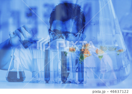 scientist in laboratory to research with test tube scientist in laboratory to research with test tube 46637122