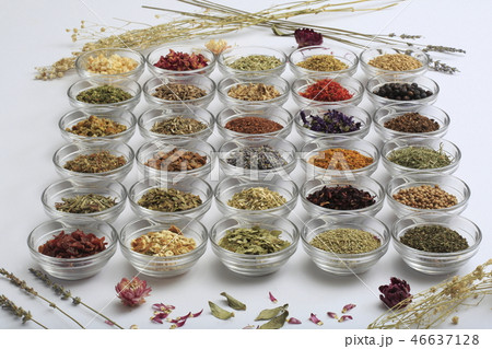 ハーブ　イメージ 46637128