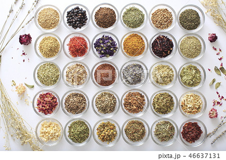 ハーブ　イメージ 46637131