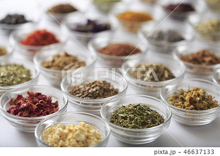 ハーブ　イメージ 46637133