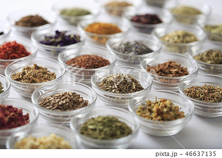 ハーブ　イメージ 46637135