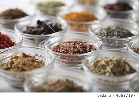 ハーブ イメージ ハーブ イメージ 46637137