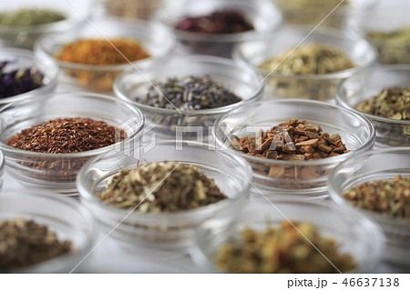 ハーブ　イメージ 46637138