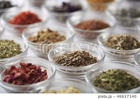 ハーブ　イメージ 46637140