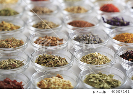 ハーブ　イメージ 46637141