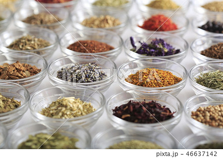 ハーブ　イメージ 46637142