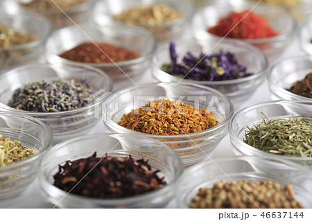 ハーブ　イメージ 46637144