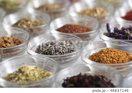 ハーブ イメージ ハーブ イメージ 46637146