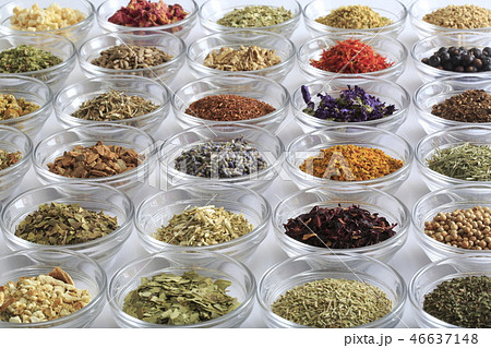 ハーブ　イメージ 46637148