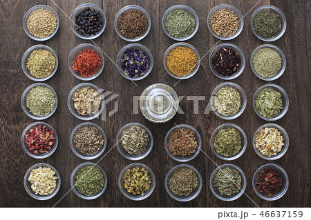 ハーブ　イメージ 46637159