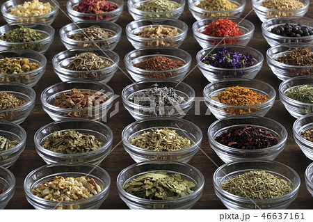 ハーブ　イメージ 46637161