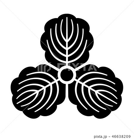 大庭氏　三つ柏　 46638209