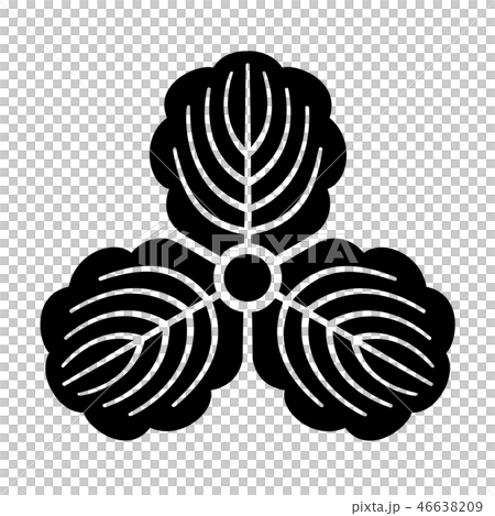 大庭氏　三つ柏　 46638209