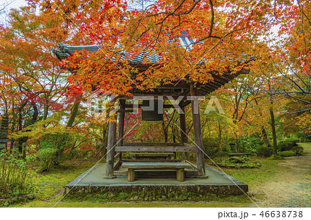 京都　秋の勝持寺　鐘楼堂　 46638738
