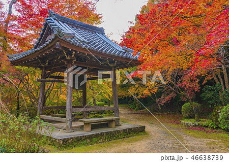 京都　秋の勝持寺　鐘楼堂　 46638739
