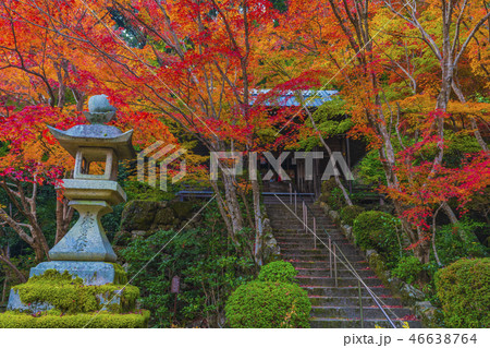 京都　秋の勝持寺　不動堂 46638764