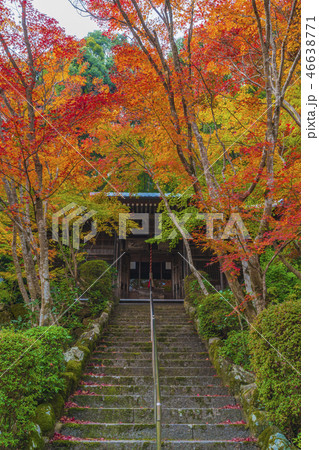 京都　秋の勝持寺　不動堂 46638771