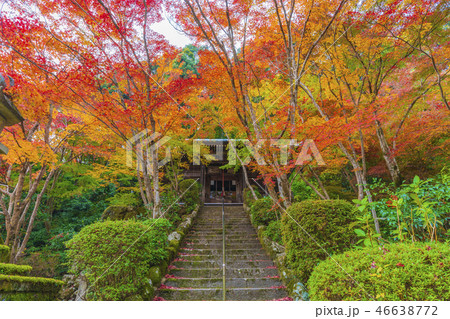京都　秋の勝持寺　不動堂 46638772