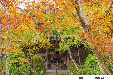 京都　秋の勝持寺　不動堂 46638777