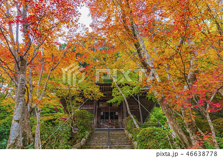 京都　秋の勝持寺　不動堂 46638778