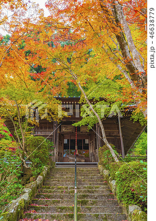 京都 秋の勝持寺 不動堂 京都 秋の勝持寺 不動堂 46638779