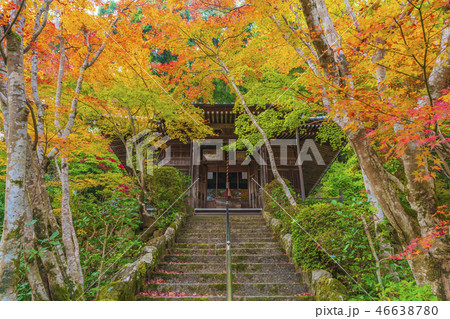 京都　秋の勝持寺　不動堂 46638780