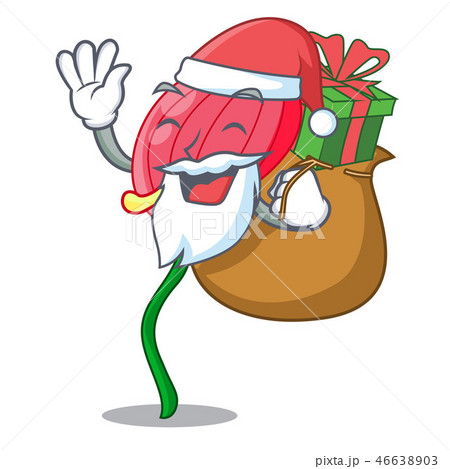 Santa with gift pink anthurium flowers in character funny Santa with gift pink anthurium flowers in character funny 46638903