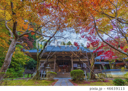京都　秋の勝持寺　阿弥陀堂 46639113