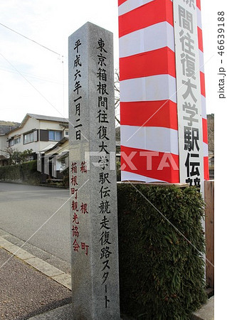 東京箱根間往復大学駅伝競走復路スタート地点 46639188