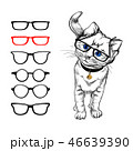 Cat with glasses. Painted stylized image of a cat 46639390