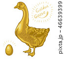 Golden Goose, goose on a white background 46639399