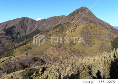 金時山 46640075