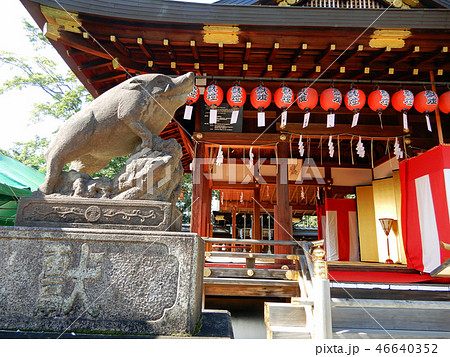 京都 護王神社 猪 京都 護王神社 猪 46640352