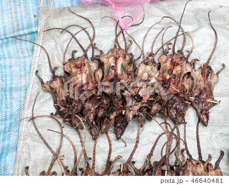 Roasted rats on  Market 46640481
