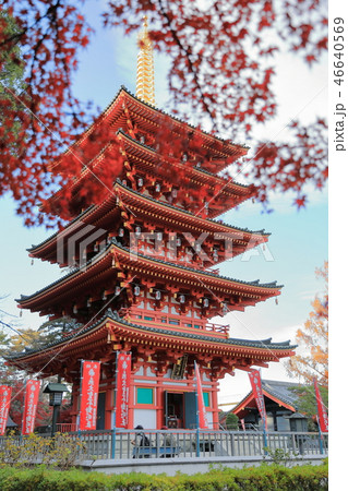 高幡不動尊 高幡不動尊 46640569