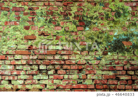 Red brick walls covered with green moss 46640833