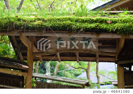 祇王寺(京都) 祇王寺(京都) 46641380