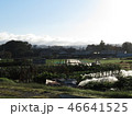 日曜菜園 46641525